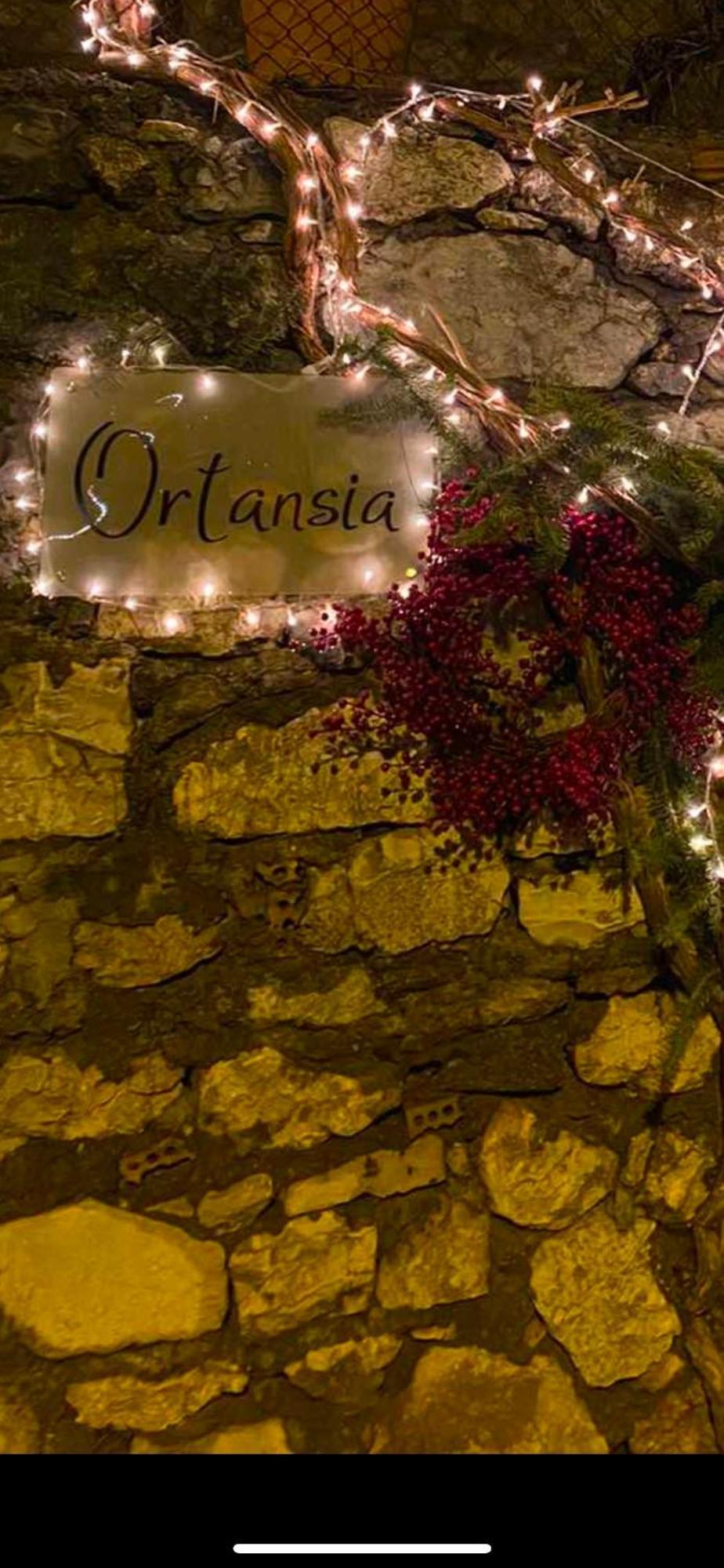 Ferienwohnung Ortansia Dimitsana Exterior foto
